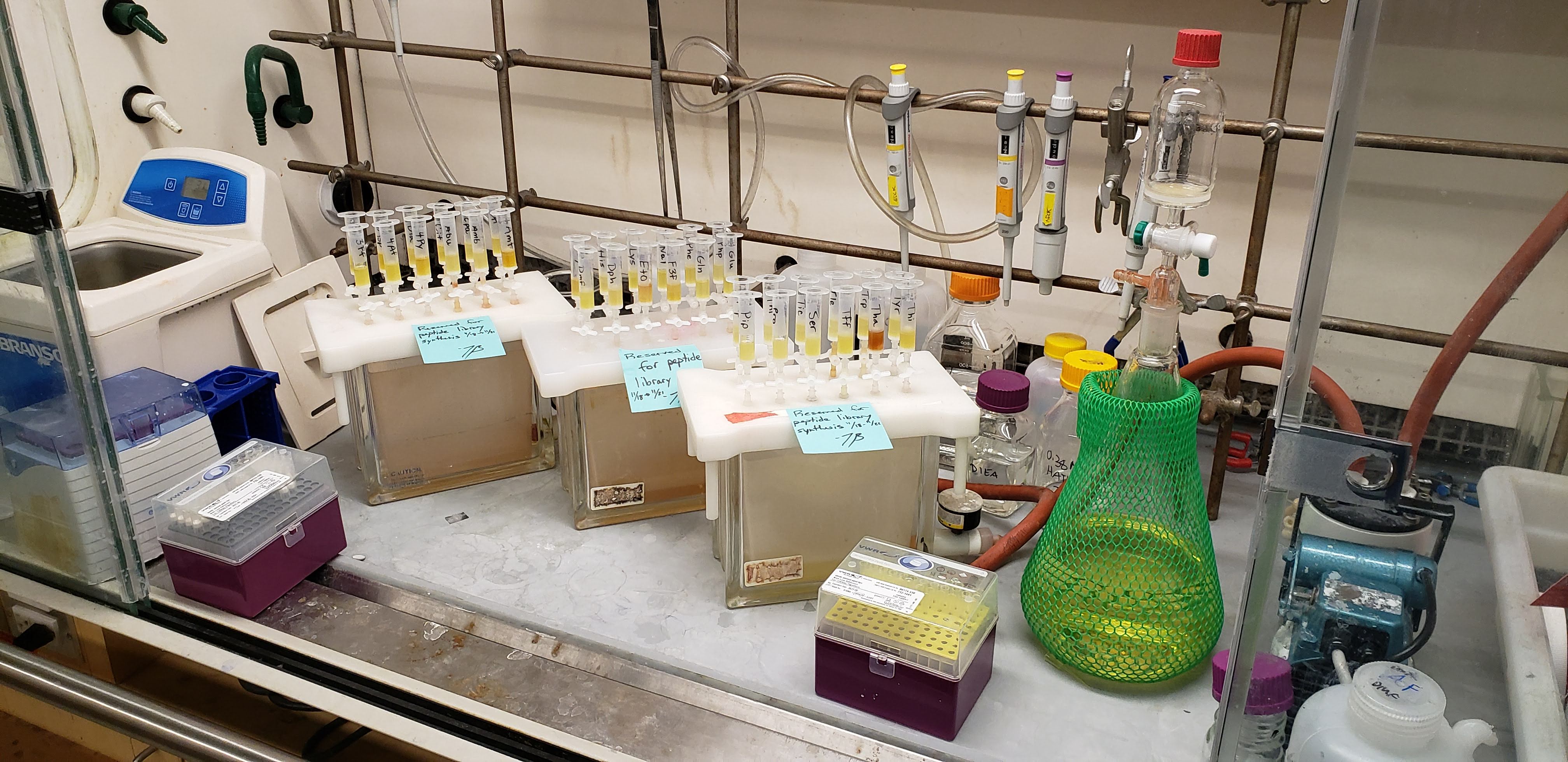 Peptide library synthesis, landscape view